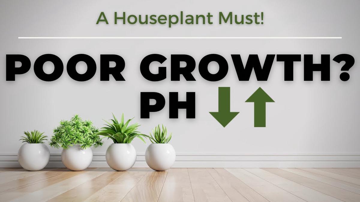 'Video thumbnail for How To Change Potting Soil pH? Why This Is A MUST For Houseplants & Containers | Soil Scientist'