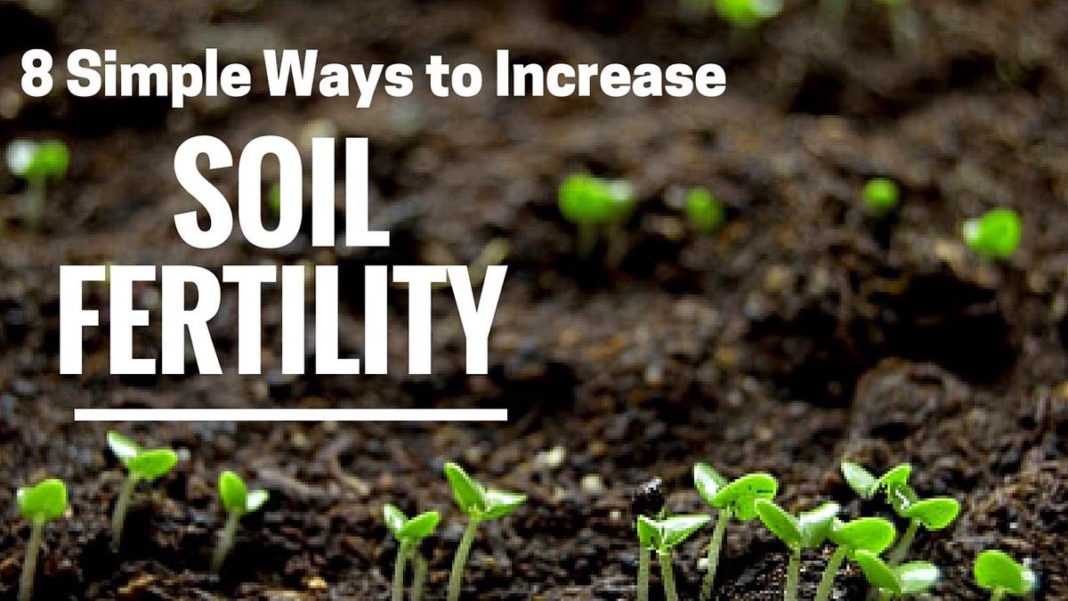 'Video thumbnail for How to improve garden soil quality: Here are 8 proven techniques'