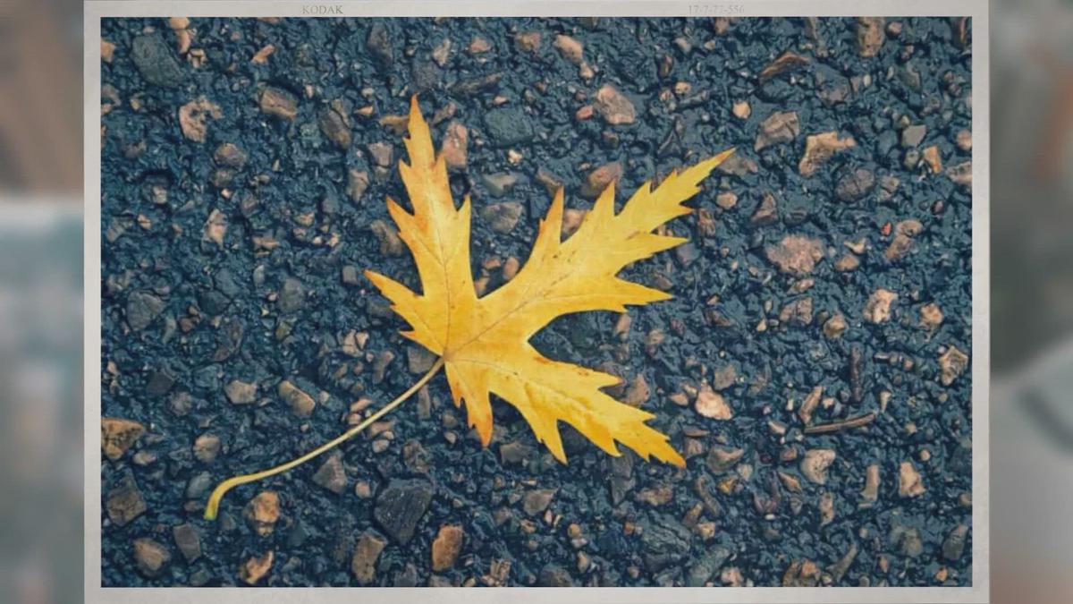 'Video thumbnail for Asphalt Density – The Definitive Guide'