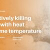 does heat kill mold