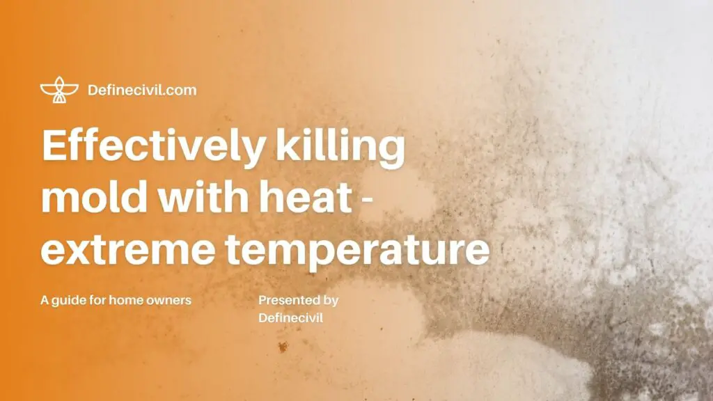 does heat kill mold