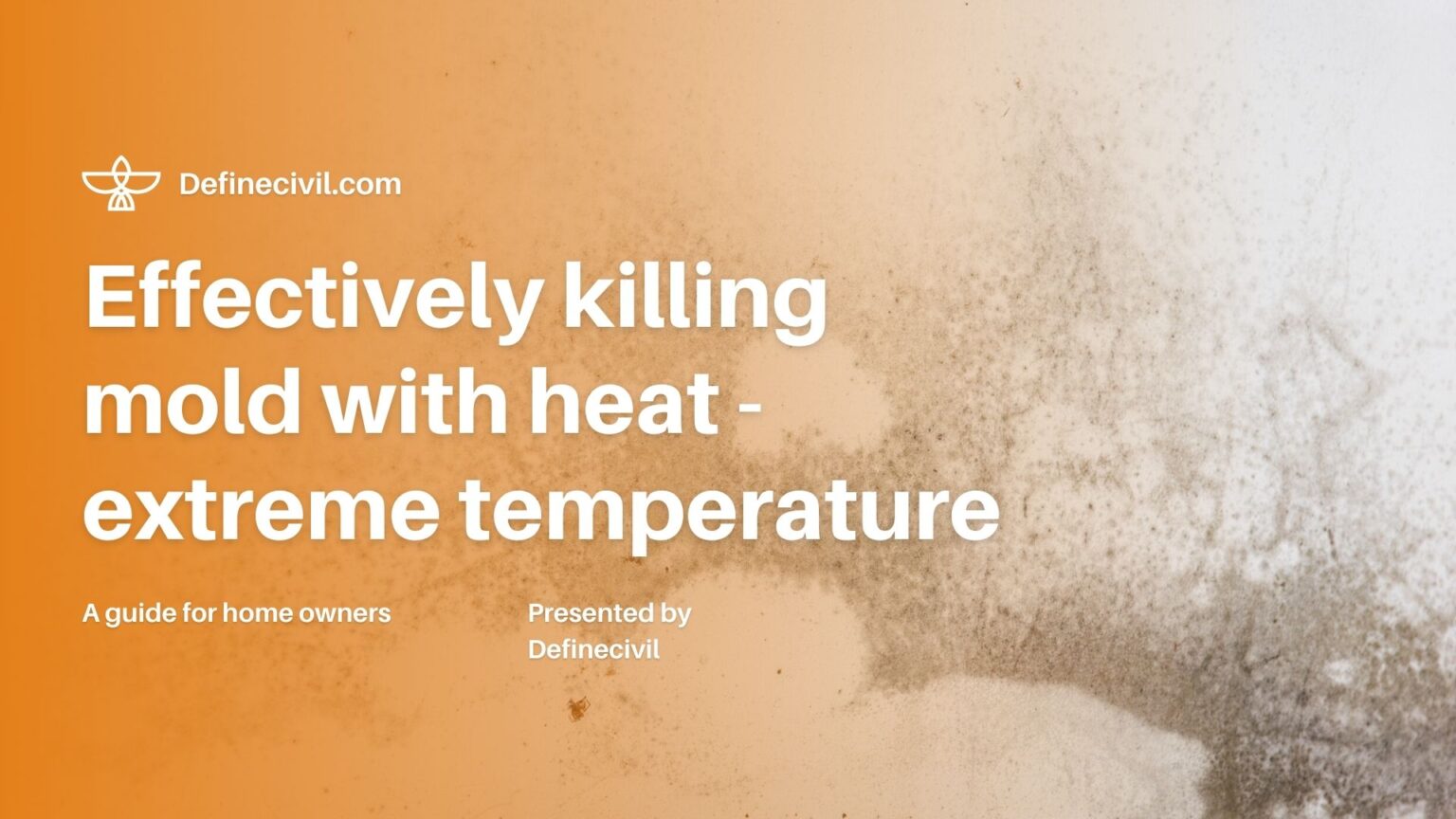 Does heat kill mold in house? Get rid of the mold with heat Definecivil