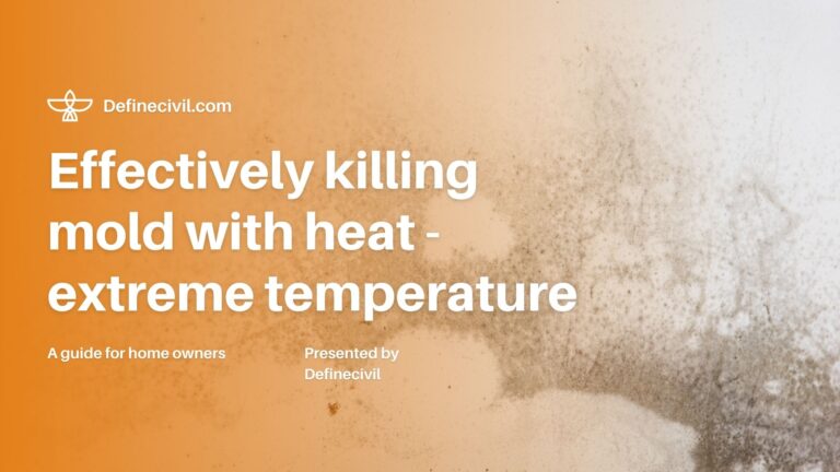 does-heat-kill-mold-a-closer-look-at-this-controversial-method