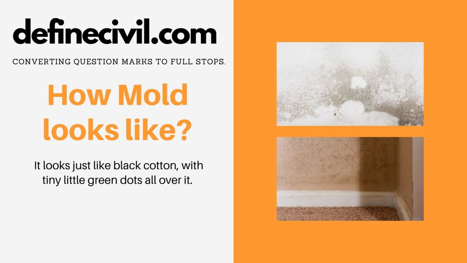 Does heat kill mold in house? Get rid of the mold with