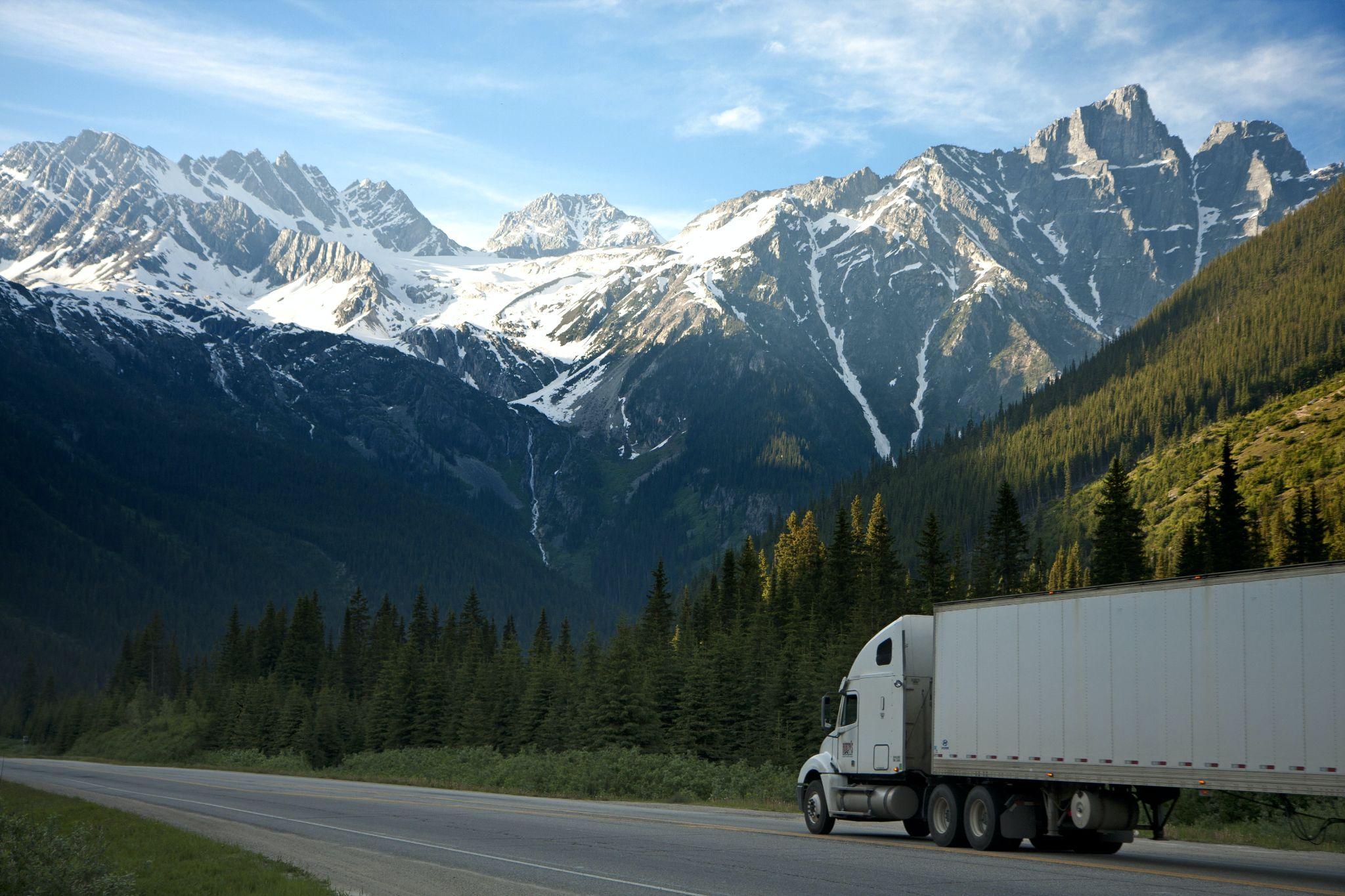 white-dump-truck-near-pine-tress-during-daytime