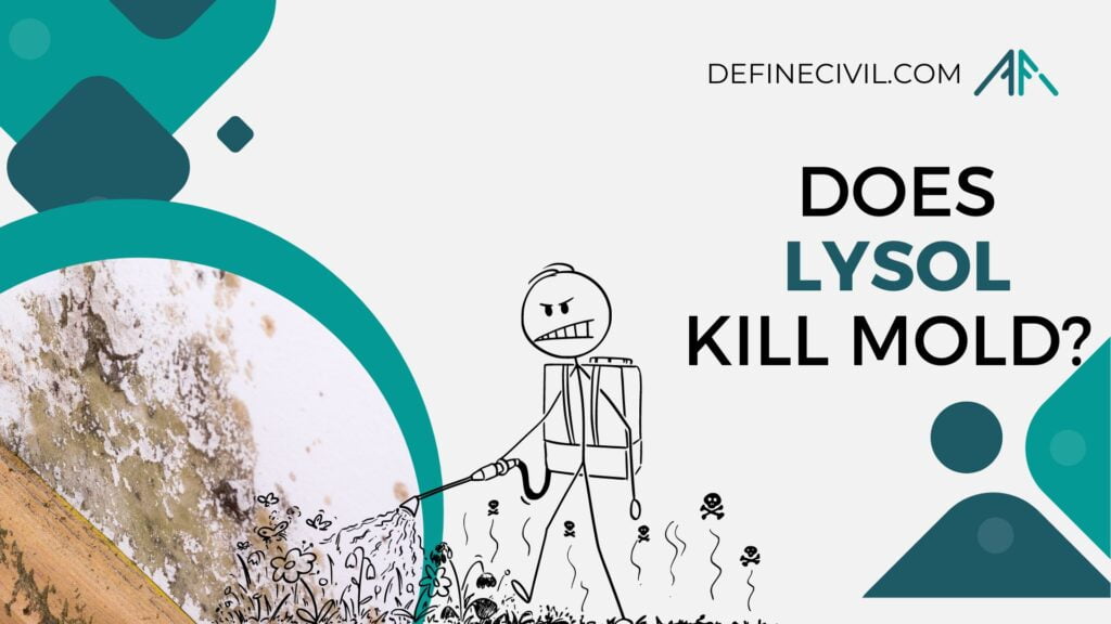 Does Lysol kill mold? 