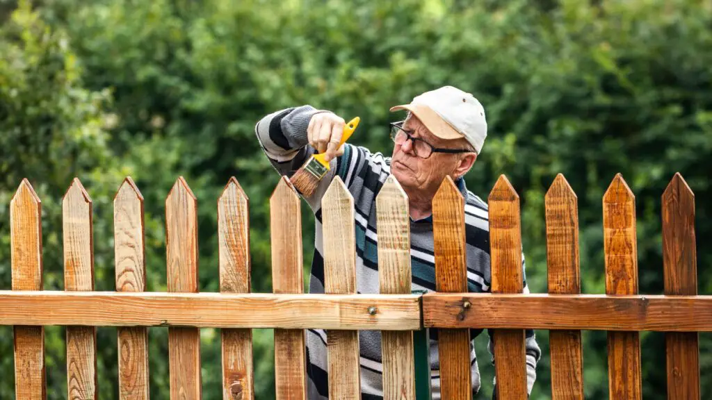 This old chap is busy in painting / staining a fence. Just look how shiny it is after. 