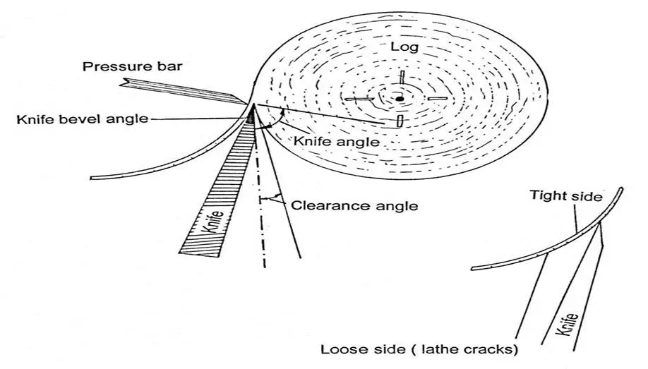 LVL Beam Manufacturing