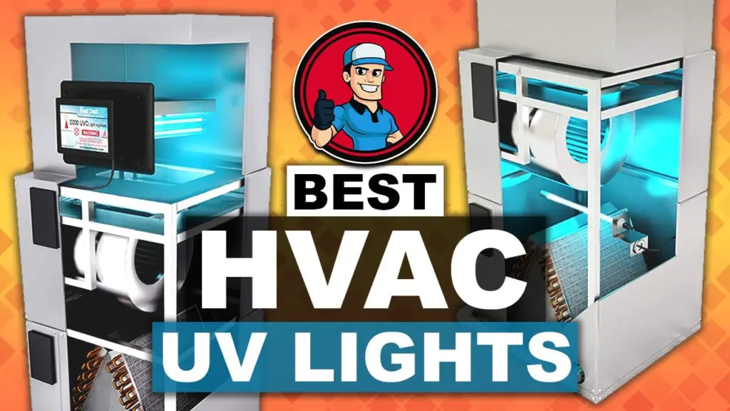 Will UV Lights Kill Mold? » The Money Pit