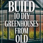 DIY Greenhouse from Recycled Windows