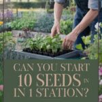 DIY Seed Starting Station