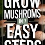 How to Grow Mushrooms at Home