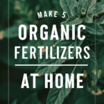 How to Make Your Own Organic Fertilizer