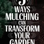 The Benefits of Mulching Your Garden