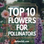 The Best Flowers for Pollinators